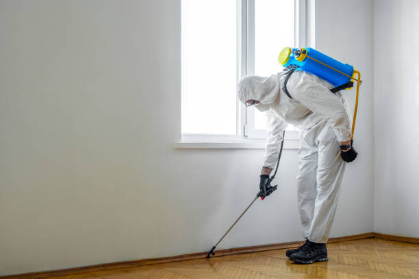 Best Bed Bug Extermination  in Hamilton College, NY